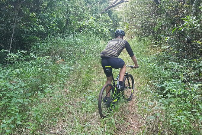 Self-Guided Mountain Bike Tours in Port Douglas - Who Would Enjoy This Tour?