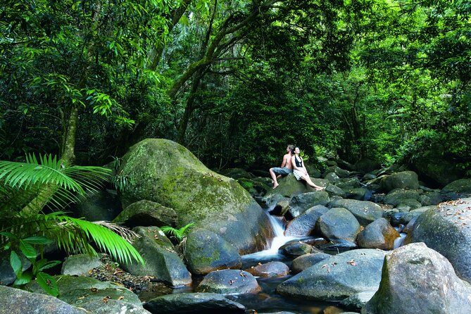 Port Douglas to Cairns ONE WAY Private Transfer 6 pax - Final Thoughts