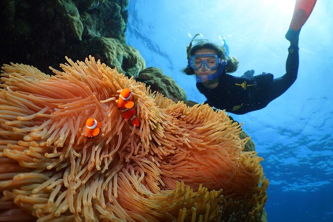 Silversonic Outer Great Barrier Reef Cruise from Port Douglas - The Experience: What Makes It Stand Out?