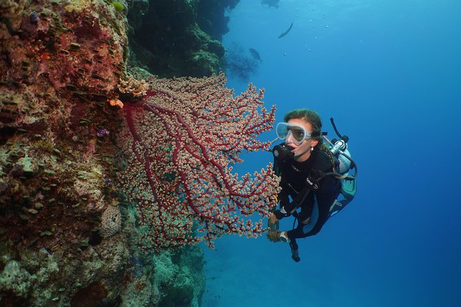 Silversonic Outer Great Barrier Reef Cruise from Port Douglas - Frequently Asked Questions