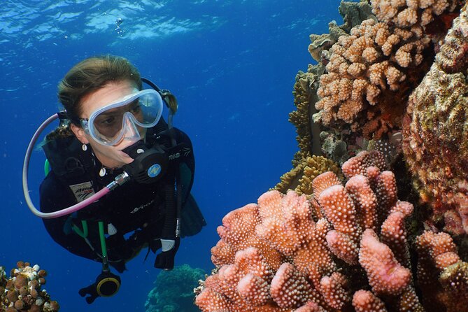 Silversonic Outer Great Barrier Reef Cruise from Port Douglas - Who Should Consider This Tour?
