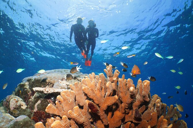 Silversonic Outer Great Barrier Reef Cruise from Port Douglas - Final Thoughts