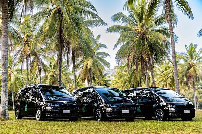 PRIVATE TRANSFER Cairns Airport  Port Douglas Minibus (6am-5pm) - Authentic Perspectives from Travelers