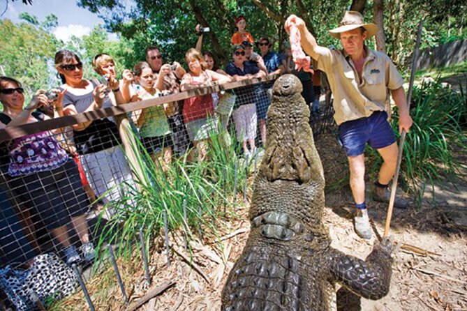 PRIVATE TRANSFER Cairns Airport  Port Douglas Minibus (6am-5pm) - What to Expect on This Transfer