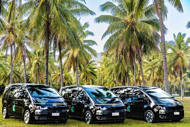 PRIVATE TRANSFER Cairns Airport  Port Douglas Minibus (6am-5pm) - Why This Transfer Works for You