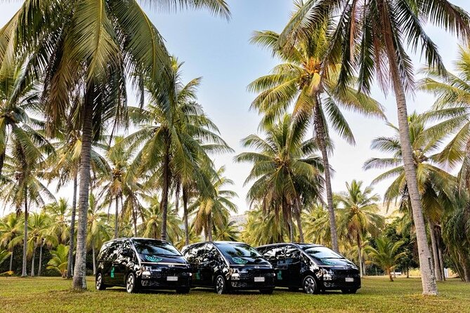 PRIVATE TRANSFER Cairns Airport  Port Douglas Minibus (6am-5pm) - The Sum Up