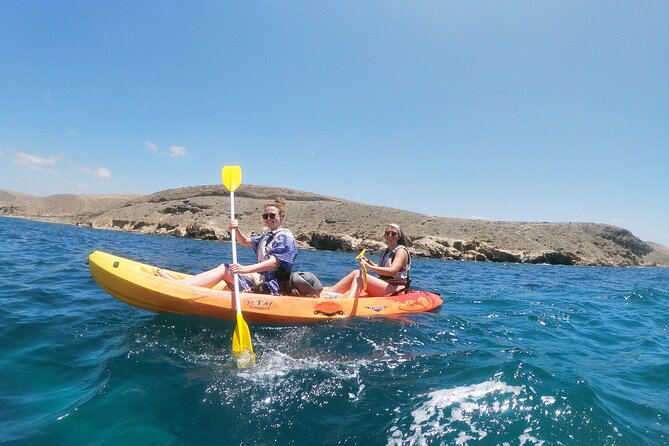 Guided Kayaking Trip in Gran Canaria - Value for Money and Overall Experience