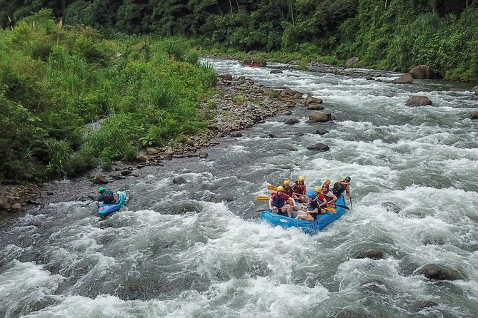 Best Whitewater Rafting Sarapiqui River, Costa Rica, Class III-IV - Key Points