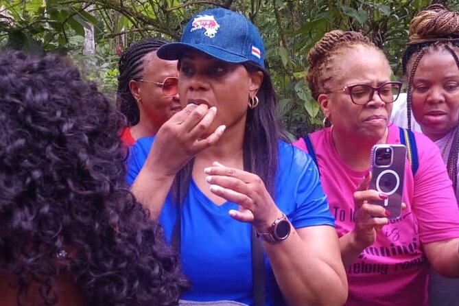 Pierrela Rain Forest - A Deep Dive into the Pierrela Rain Forest Tour