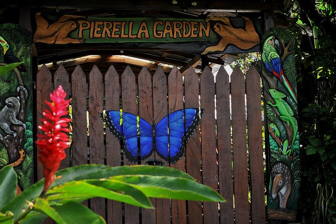 Pierrela Rain Forest - The Sum Up: A Forest Adventure Worth Your Time