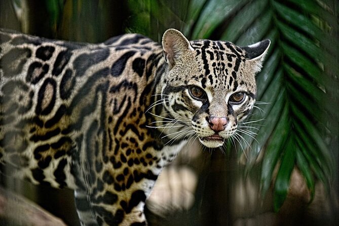 La Paz Waterfalls Gardens Tour (Half day) - Authentic Insights from Travelers