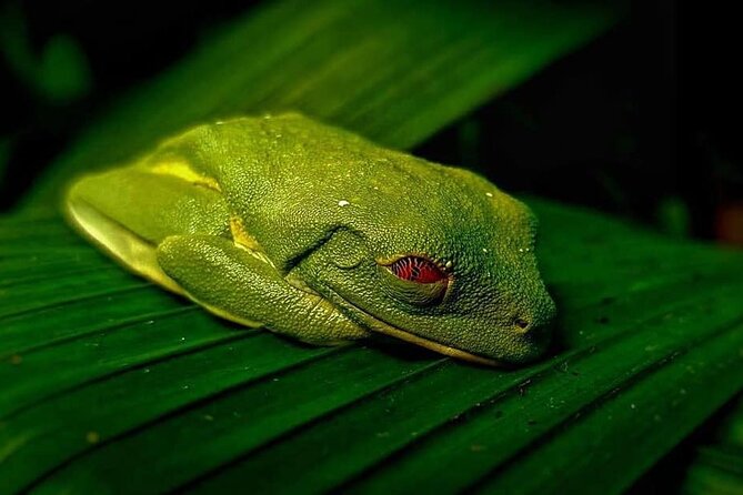La Paz Waterfalls Gardens Tour (Half day) - A Thorough Look at the Tour Experience
