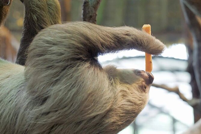 La Paz Waterfalls Gardens Tour (Half day) - Final Thoughts: Is This Tour Worth It?