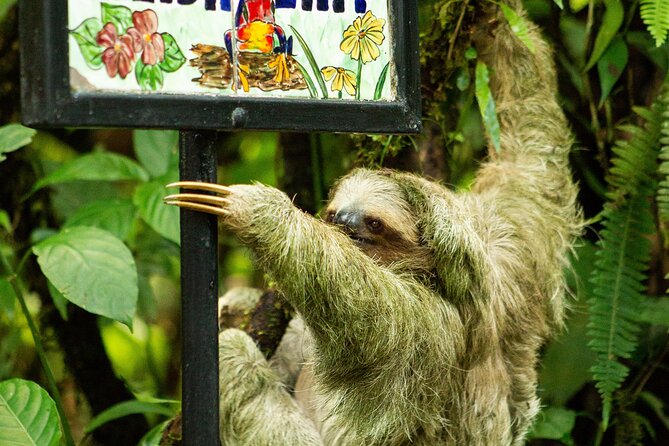 Costa Rica 6-in-1 Aerial Tram & Rainforest Adventure - Key Points