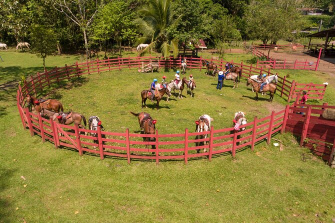 Sarapiqui Forest Horseback Riding Experience in Costa Rica - A Closer Look at the Sarapiqui Horseback Riding Tour