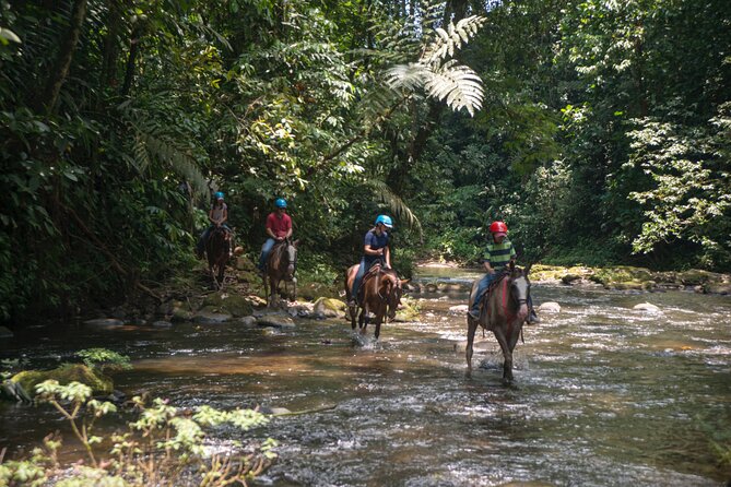 Sarapiqui Forest Horseback Riding Experience in Costa Rica - Key Points