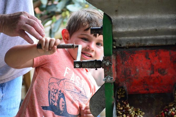 Coffee Tour Los Sauces - Why This Tour Offers Good Value