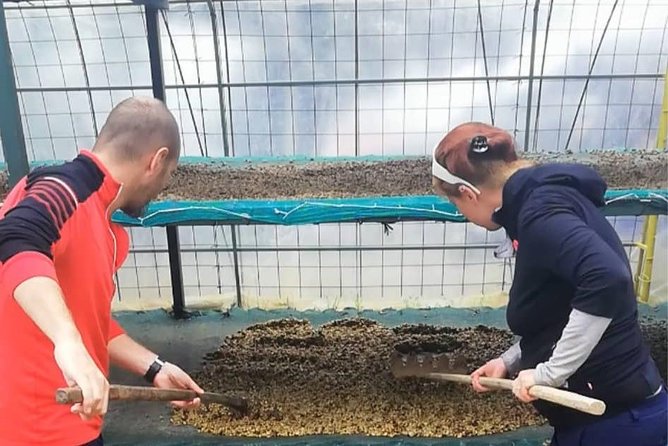 Coffee Tour Los Sauces - Frequently Asked Questions