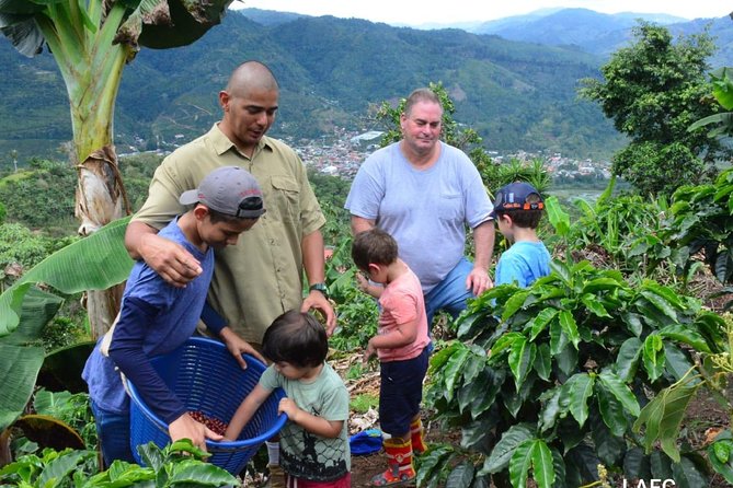 Coffee Tour Los Sauces - Wrapping It Up