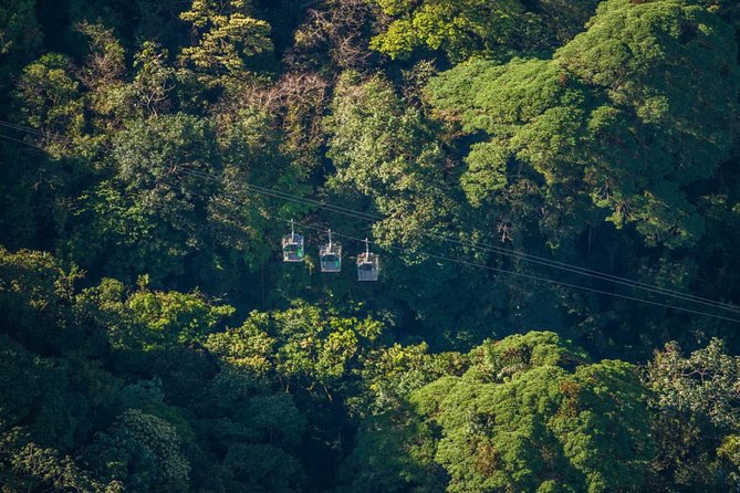 Day trip from San Jose to Monteverde Cloud Forest & Sky Adventure Park - FAQ