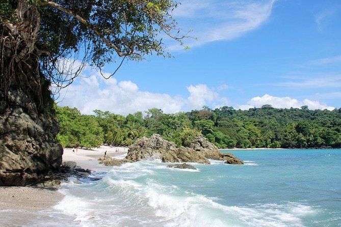 Manuel Antonio National Park one day tour from San Jose - The Practicalities: Transportation, Timing, and Comfort