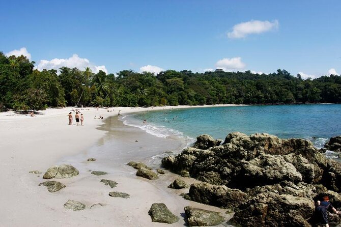 Manuel Antonio National Park one day tour from San Jose - Key Points