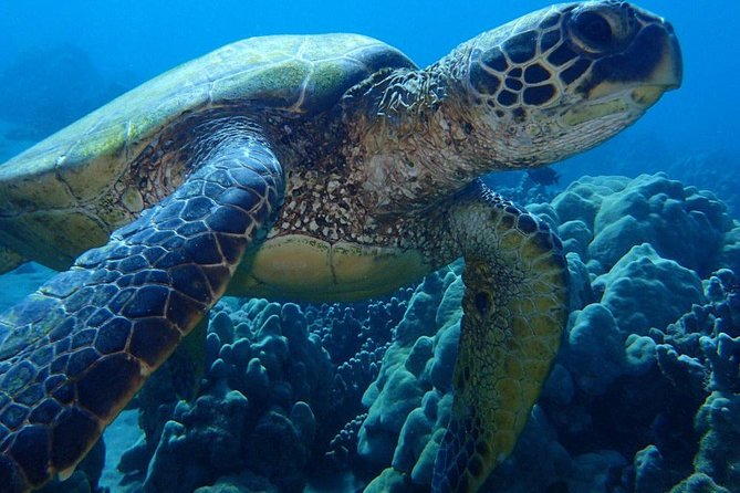 13 days program - Best Spots of Costa Rica - Who Is This Tour Best Suited For?