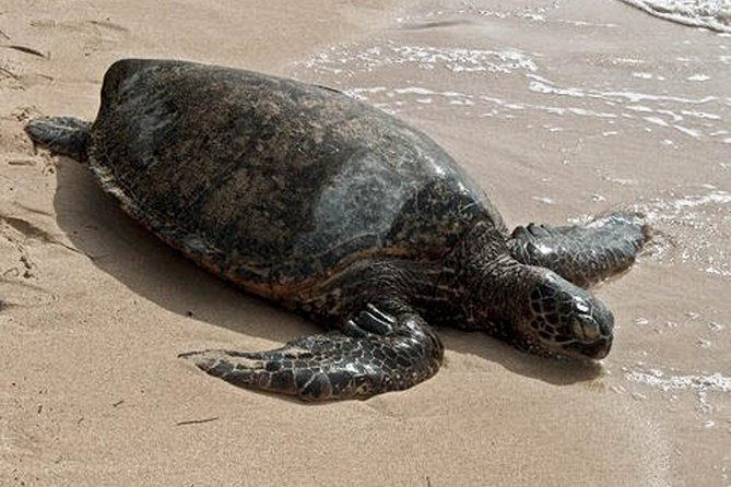 13 days: Jungle and Beach in Costa Rica - What Makes This Tour Special?