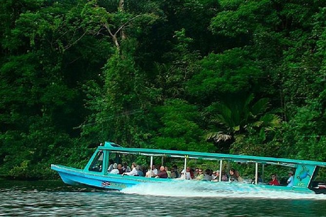 Day Trip from San Jose to La Paz Waterfall Gardens & Safari in Sarapiqui River - Final Thoughts