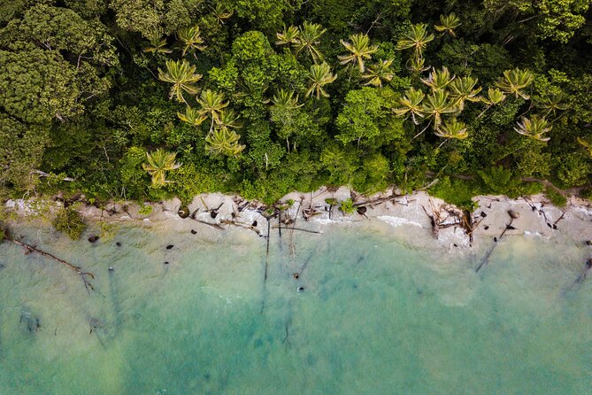 Romantic Holidays in Costa Rica: 8 Days All Inclusive - Day 3: Whale Watching and Manuel Antonio