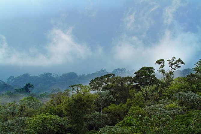 Corcovado National Park One Day Tour - What Travelers Say: Authentic Experiences in Action