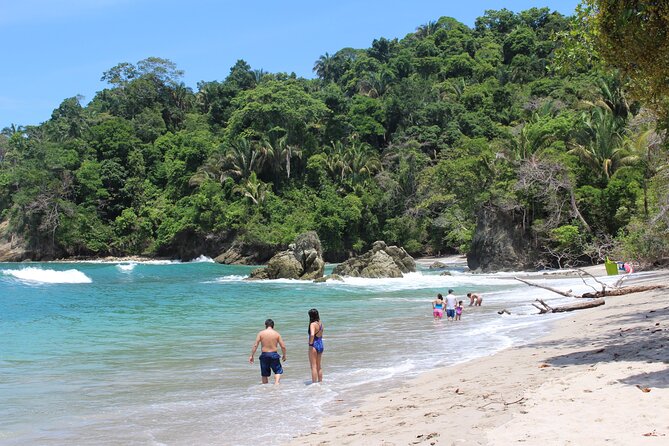 Private Sightseeing Tour from SJO to Manuel Antonio National Park - An In-Depth Look at the Tour Experience