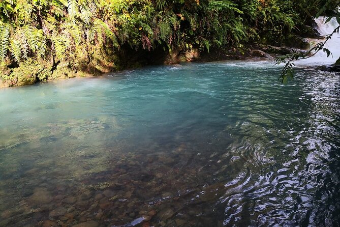 Rio Celeste river waterfall, hike and hot springs tour from San Jose, Costa Rica - Exploring the Rio Celeste Tour in Detail