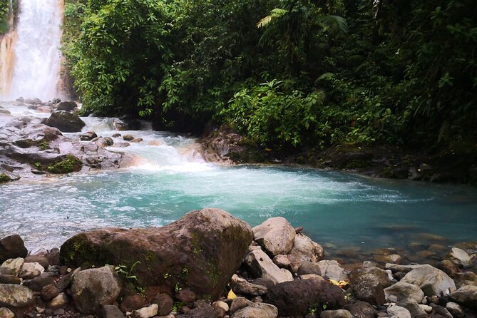 Rio Celeste river waterfall, hike and hot springs tour from San Jose, Costa Rica - Key Points