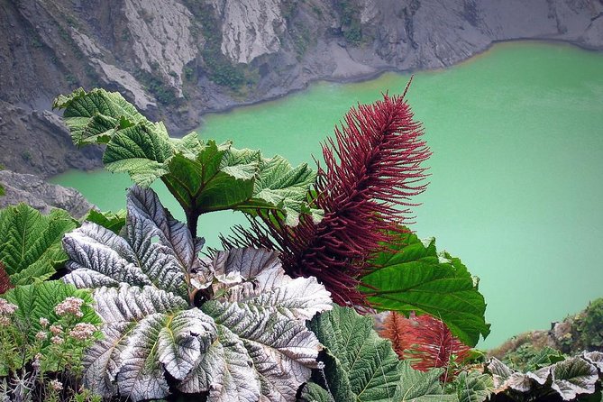 Irazú Volcano Half Day Tour from San Jose - The Route and Highlights