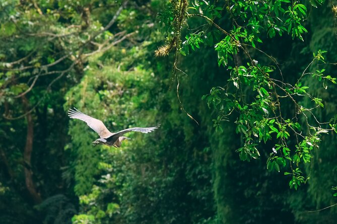 Safari Float Sarapiqui River From San Jose - Experience Costa Rica’s Nature on the Safari Float Sarapiqui River From San Jose