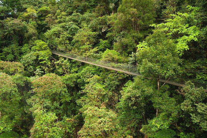 Zipline Adventure San Luis From San José - Key Points