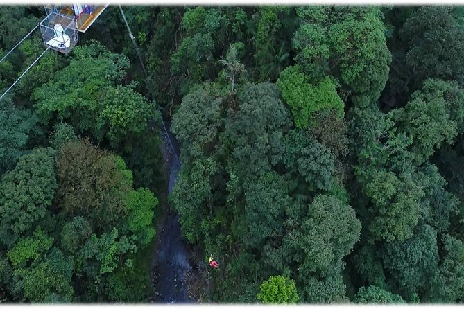 The best and nearest Bungee jump to San Jose - An In-Depth Look at the Bungee Jump and Forest Adventure