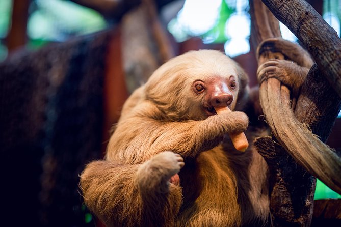 Skip the Line:Day Ticket-La Paz Waterfall Gardens Nature Park & Wildlife Refuge - Key Points