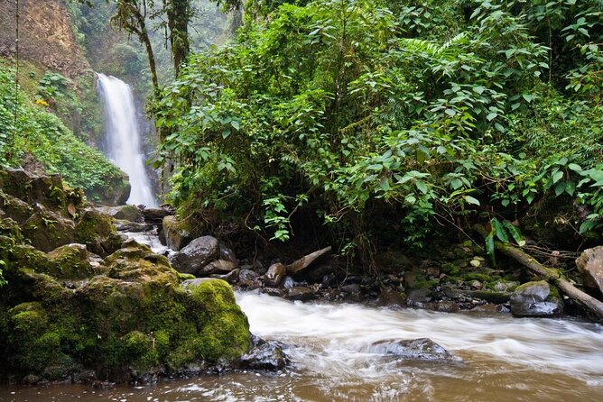 Skip the Line:Day Ticket-La Paz Waterfall Gardens Nature Park & Wildlife Refuge - A Closer Look at La Paz Waterfall Gardens: An Authentic Costa Rican Nature Escape