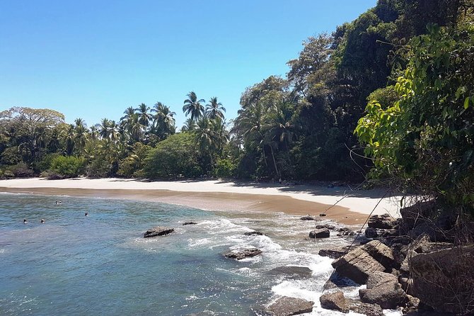 Manuel Antonio National Park; Beach & Sightseeing Day Trip from San Jose - Considerations for Travelers