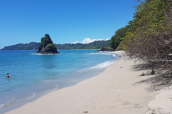 Manuel Antonio National Park; Beach & Sightseeing Day Trip from San Jose - A Deep Dive into the Experience
