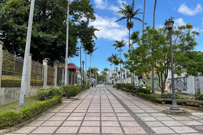 San Jose Walking City Tour -Private- - Real Traveler Insights and Considerations