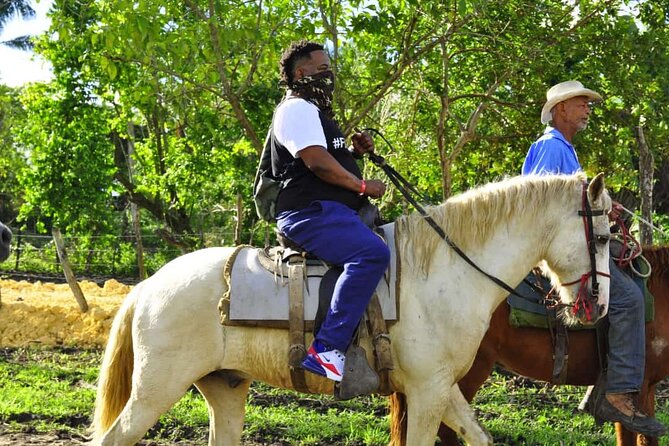 Horseback Riding in the Dominican Jungle - Final Thoughts