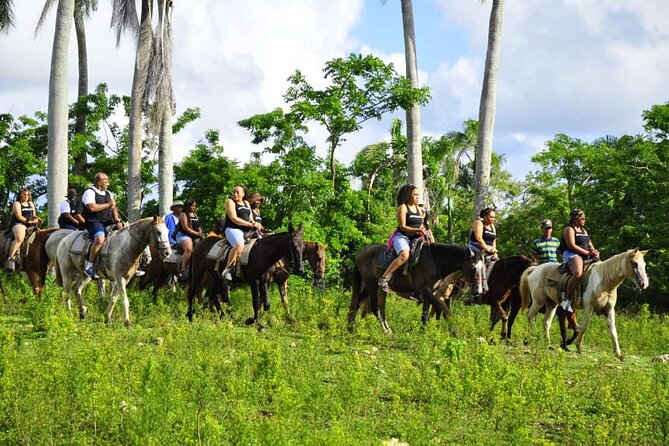 Horseback Riding in the Dominican Jungle - Frequently Asked Questions