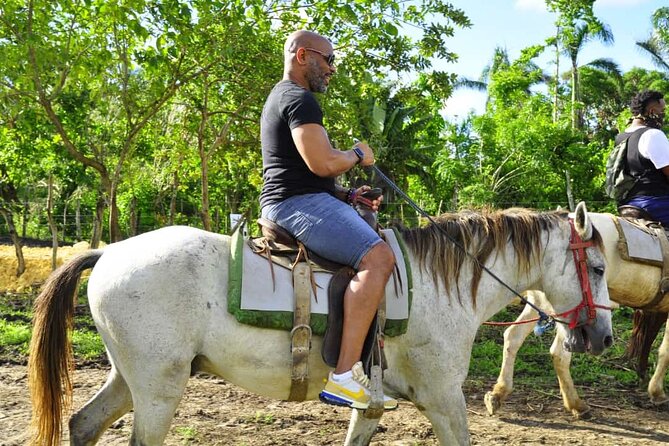 Horseback Riding in the Dominican Jungle - Final Recommendation