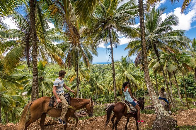 Horseback Riding in the Dominican Jungle - Horseback Riding in the Dominican Jungle: A Full-Day Adventure from Punta Cana
