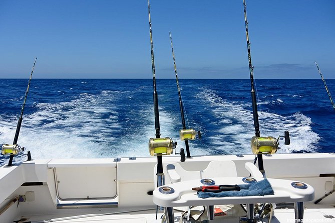 Deep Sea Fishing Tour - The Itinerary Breakdown: What Happens During the Tour