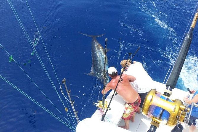 Deep Sea Fishing Tour - The Experience: What You Can Expect from the Deep Sea Fishing Tour in Punta Cana