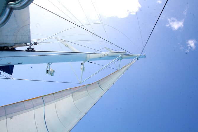 Saona Island by Paradise Travel - Final Thoughts